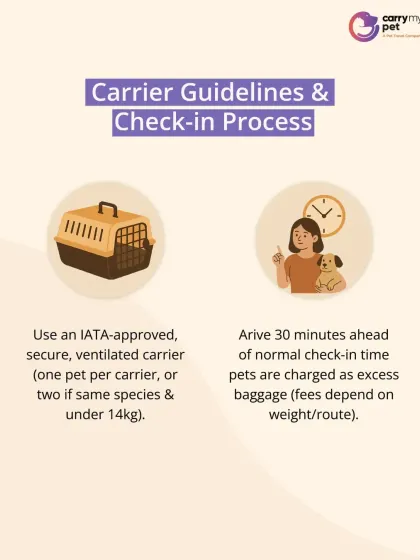 A look at the carrier guidelines and check-in process for Qatar Airways, including the need for an IATA-approved crate and arriving ahead of time.