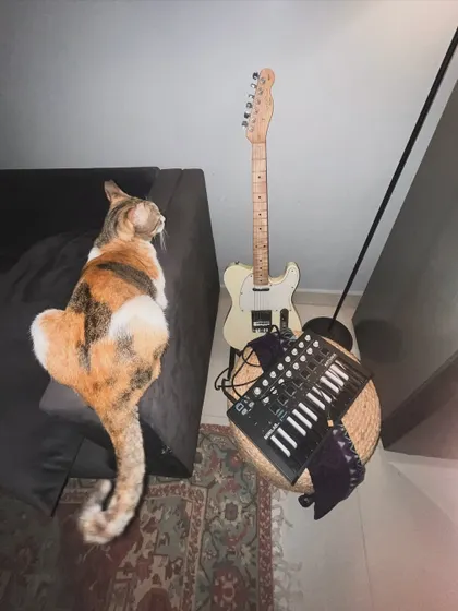 My studio supervisor keeping an eye on things. My cat, my guitar, and my MIDI keyboard are essential parts of my creative space.