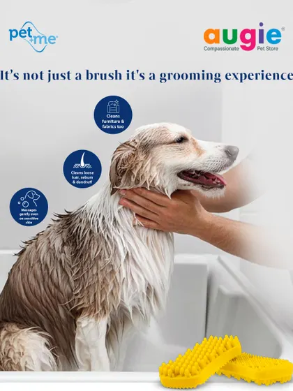 This isn't just a brush, it's a complete grooming experience. The Pet+Me yellow brush gently removes loose hair and dandruff, stimulates the skin, and even cleans fur off furniture and fabrics.