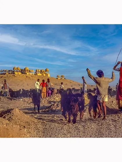 Shepherds guide their flock near the Viyas Chatris in Jaisalmer, Rajasthan, under a vast blue sky. Photographed on film, this image captures the vibrant colors and timeless feel of the desert landscape and its people.