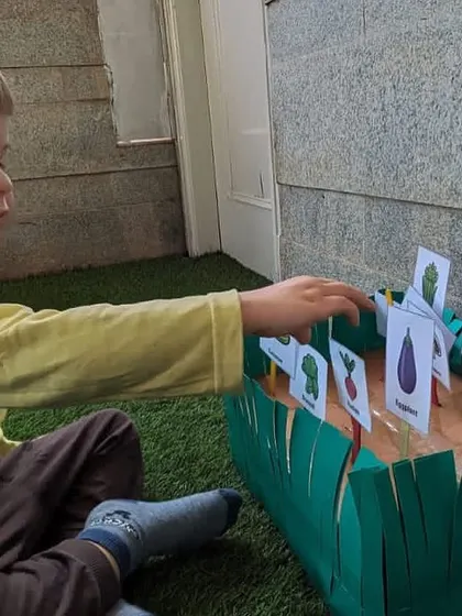 This boy is carefully placing vegetable cards into the "soil," learning whether they grow on a tree, a bush, or underground. This activity builds vocabulary and knowledge about botany.