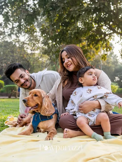 A happy family portrait in a park with a mom, dad, toddler, and their cocker spaniel sitting together on a yellow blanket.