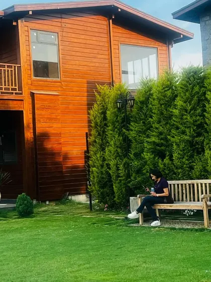 Embracing the golden divide. Here I am, sitting on a wooden bench in a farmhouse garden, backed by a beautiful living wall of golden cypress trees that acts as a natural partition.
