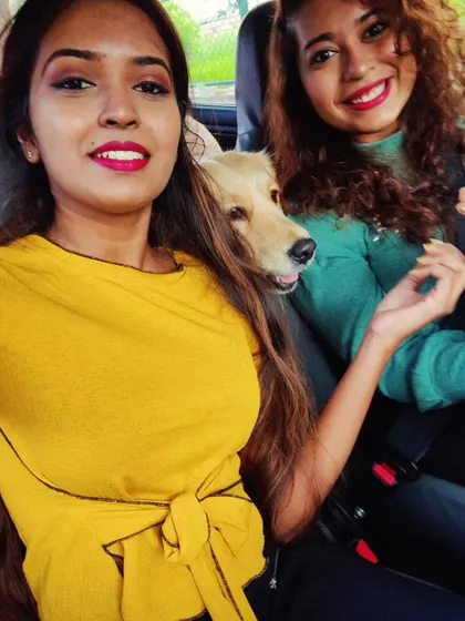 Happy memories on the road. Helping dogs become confident travel companions is one of the most rewarding parts of my job.