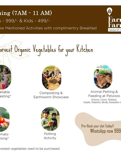 Our morning package details, available from 7 AM to 11 AM. It includes a variety of activities like vegetable harvesting and animal petting, along with a complimentary breakfast.