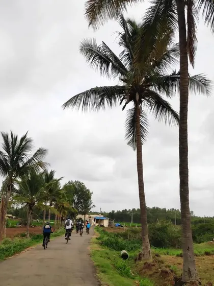 A group rides down a road lined with tall palm trees, showcasing the tropical feel of the Bangalore outskirts.