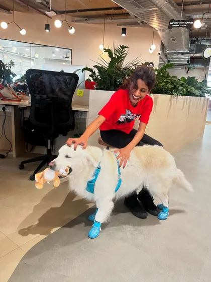 Ginger, one of my therapy dogs, getting some love at a corporate office visit. Socialization helps create gentle, friendly dogs that can bring joy to any environment.