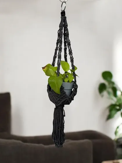 This simple yet elegant black plant hanger is perfect for a modern or minimalist decor style. It's shown here holding a small potted plant.