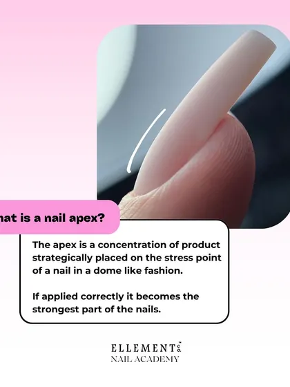 A visual explanation of what a nail apex is: a concentration of product strategically placed on the stress point of a nail to make it stronger.