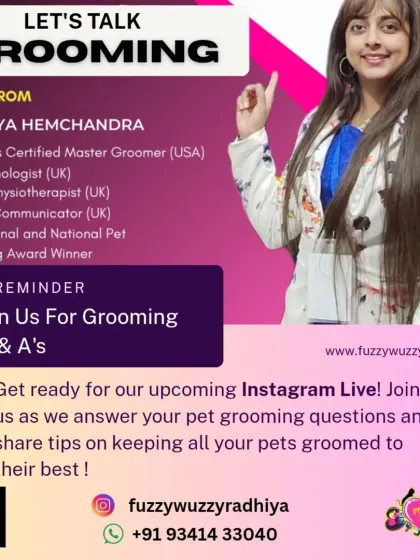 Let's talk grooming. This graphic announces an Instagram Live Q&A session where I answer pet grooming questions and share tips to help you care for your pets at home.