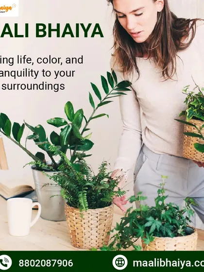 We believe in the power of plants to add tranquility and color to your life. Our home plant rental service is designed to bring this natural peace into your personal space without any effort.