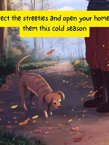 A simple plea to protect our streeties, especially during the cold season. A small act of kindness, like letting a dog sleep in a safe spot, can make a huge difference.