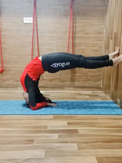 Using the wall for support in Dvi Pada Viparita Dandasana, an advanced inversion and backbend that builds incredible strength.