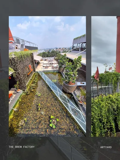 A closer look at the water feature at The Brew Factory, which includes a unique glass walkway over the pond. This design element adds a touch of adventure and novelty, while the surrounding plants and cascading vines on the wall create a lush, tropical feel.