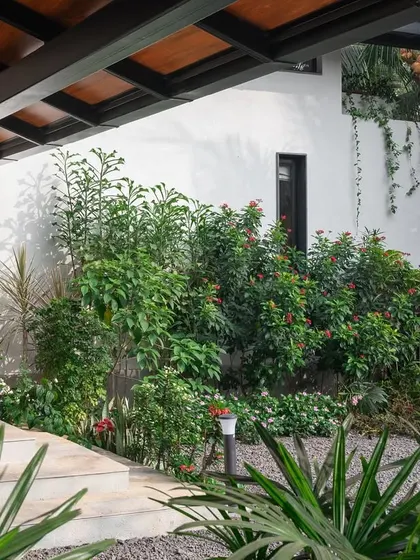The lush landscaping at the entrance of Grove House, featuring a mix of tropical plants that complement the home's architecture.