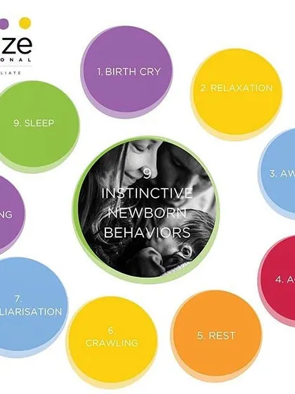 Your newborn is born with incredible instincts. This chart shows the nine observable stages a baby goes through in the first hour after birth if left in skin-to-skin contact. Understanding these innate behaviors helps you support their natural transition into the world.