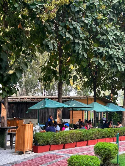 The vibrant red planters add a pop of color to the path leading to our outdoor cafe seating area.