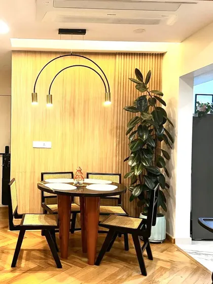 A Ficus Elastica, or rubber plant, is a perfect statement piece for a dining area. Its tall, elegant form and dark, glossy leaves add a touch of modern sophistication while improving indoor air quality.