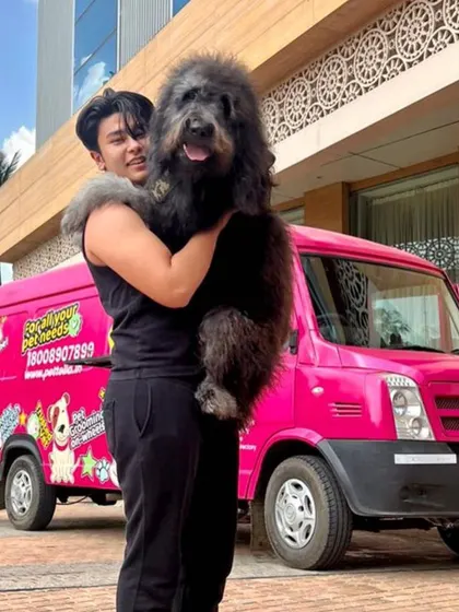 Here’s the very fluffy Kenzo looking fantastic after his spa treatment. We love seeing our furry clients this happy and fresh, right in front of our pink van.