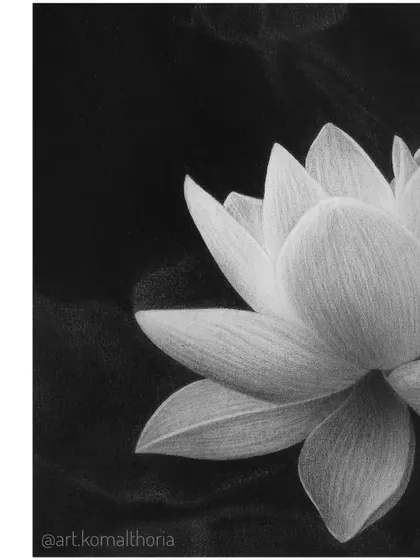 A detailed shot of the main lotus bloom.
