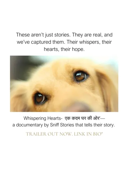 "These aren't just stories. They are real." A close-up on the soulful eyes of a golden-haired dog, promoting the trailer for our documentary. We aim to capture the whispers, hearts, and hopes of shelter animals.