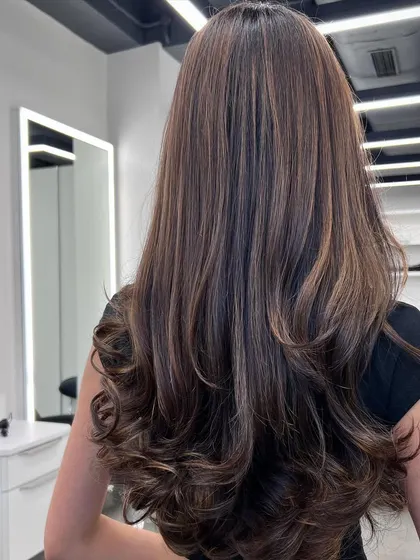 A beautiful, rich brown with subtle highlights. The color is deep, glossy, and looks incredibly healthy.