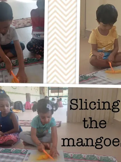 A collage of moments from our mango-themed cooking sessions, where children learned to peel, slice, and prepare delicious mango treats like milkshakes and cheesecake.