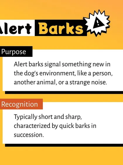 This visual defines an alert bark, which is typically short and sharp. It's your dog's natural way of signaling that they have noticed something new or unusual.