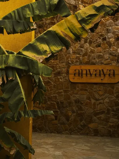 Our name nestled amongst tropical foliage and stone, a symbol of our commitment to integrating with the natural environment.