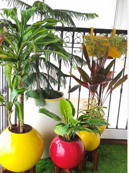 Our planters come in all shapes and sizes, like these vibrant, spherical pots. Mixing and matching different styles and colors is a great way to create a dynamic and beautiful plant arrangement on your balcony or patio.