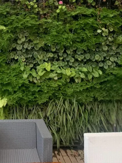 A vertical garden is a fantastic way to make a big impact, especially when you're short on floor space. This lush tropical living wall brings a burst of green life, turning a plain wall into a stunning, natural art piece that feels alive.