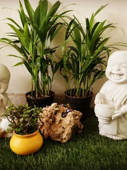 Bring some joy to your garden with these happy monk statues. Placed on a bed of artificial grass and surrounded by pebbles and plants, they create a corner that is guaranteed to make you smile.