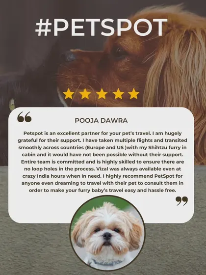 Pooja has trusted me with multiple flights for her Shih Tzu across Europe and the US. I'm so grateful for her continued support and for recognizing my team's commitment and skill.