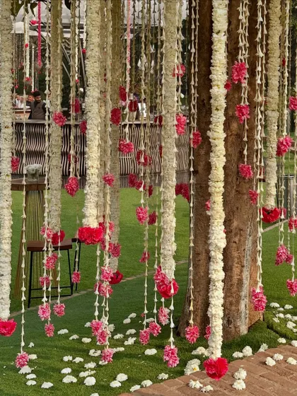 Delicate strings of tuberose and pink carnations hanging from a tree, creating a beautiful floral curtain.