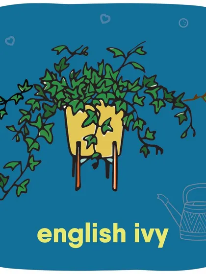 Be careful with trailing plants like English Ivy, as they can be tempting for pets to play with and chew.