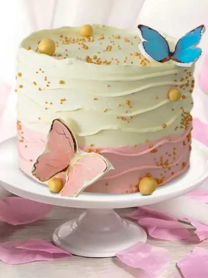 This butterfly-themed cake for Pranita in Geetanjali is all about soft, fluttering magic. The ombre pink and white frosting with delicate edible butterflies creates a light and lovely design for a girl's birthday.