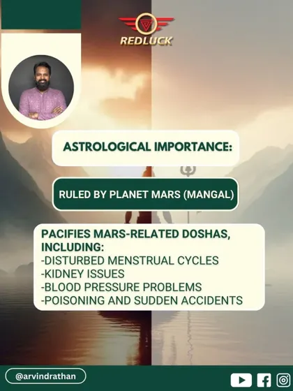 Astrologically, the Three-Faced Rudraksha is ruled by Mars (Mangal). It is a powerful remedy to pacify Mars-related doshas, which can cause issues like menstrual problems, kidney issues, and sudden accidents.