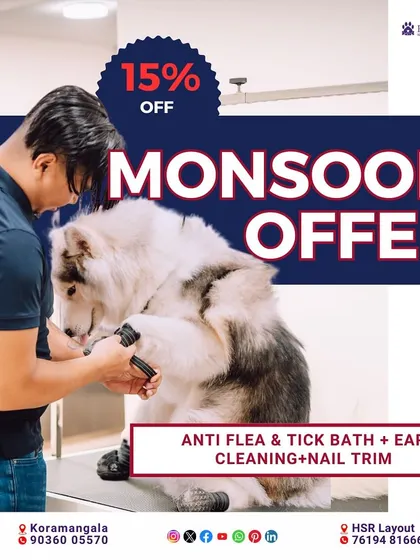 Our Monsoon Offer. This graphic details our special package, including an anti-flea & tick bath, ear cleaning, and nail trim at 15% off, designed to keep pets healthy and comfortable during the rainy season.