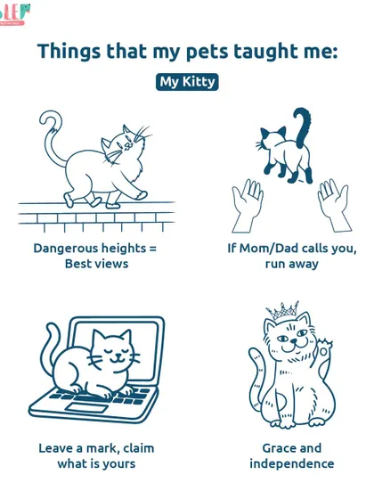 My kitty has taught me that dangerous heights offer the best views and that if your parents call you, you should probably run away. A humorous look at the independent and graceful nature of cats.