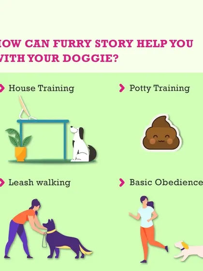This infographic gives a quick overview of the services I can help you with, from house training and potty training to leash walking and basic obedience. My goal is to help you build a stronger bond with your furry family member.