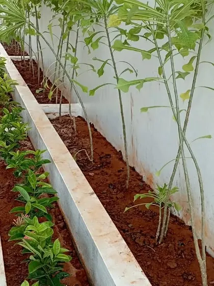 Planter boxes are a perfect solution for adding greenery to small spaces or creating raised garden beds. Here, we've planted a mix of shrubs and taller plants.