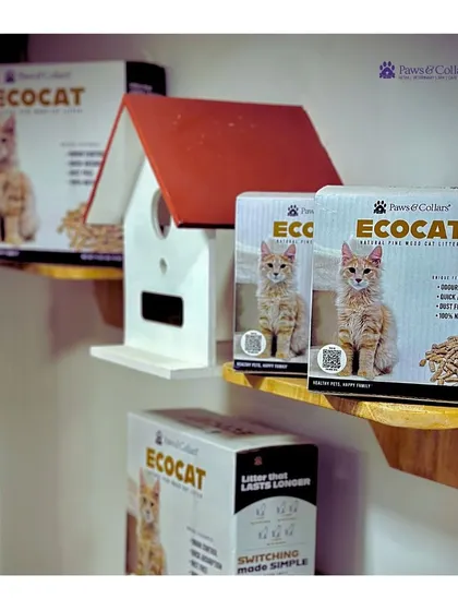 Our EcoCat litter boxes displayed in-store. This image shows how we integrate our own products into our physical space, reinforcing our belief in them.