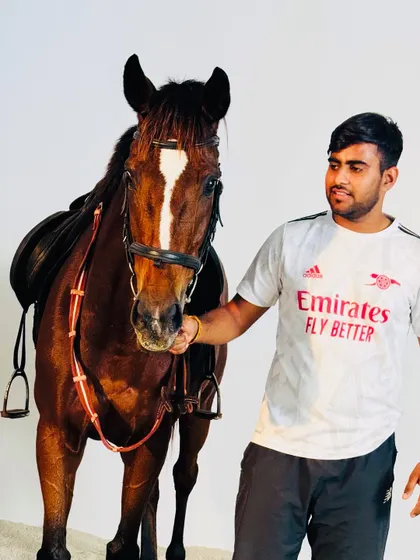 This is Candy, one of our trusted partners at the center. Every horse here is part of the family, each with their own personality and trained with care and respect.