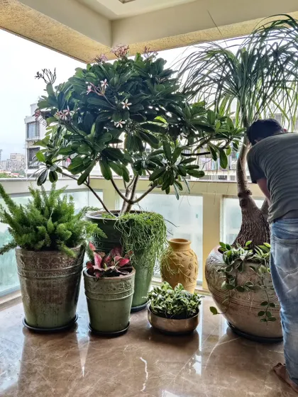 An eclectic and artistic mix of plants and decorative planters on a marble-floored balcony. This work-in-progress shot shows the careful curation that goes into each project.