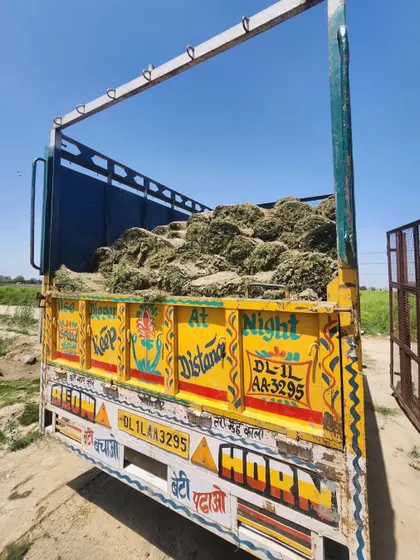 A truck loaded with our natural grass carpets, ready for delivery. We ensure our turf is transported securely to maintain its freshness.