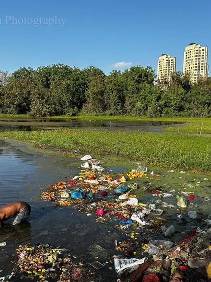 As far as the eye can see, the debris and detritus of our wasteful lifestyles intrude on nature. Here, a child wades through water choked with plastic and garbage, with the forest and city in the background. Oh, what a wonder we are letting fade.