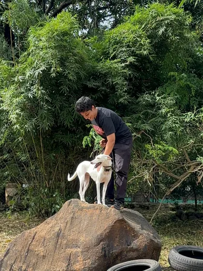 Every dog, like this beautiful white Indie, has a unique story and personality. My goal is to understand them as individuals and help them become the best version of themselves.