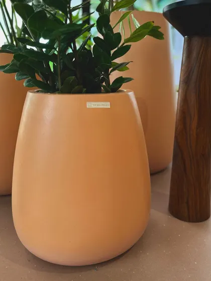 A close-up of my smooth, matte-finish planter, showing its clean lines and how it holds a vibrant ZZ plant.