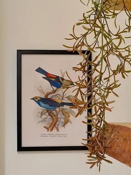 A detail from the laundry and linen closet room. Even in the most utilitarian spaces, I like to add thoughtful touches like this bird artwork to make every corner of the home feel special.