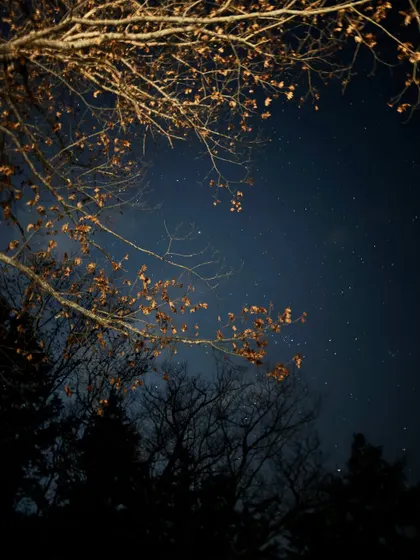 A magical night sky full of stars, seen from the winter wonderland of Parry Sound.